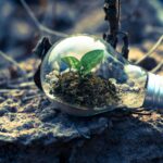 Resilience Premium Drives 2026 Home Values in Johannesburg